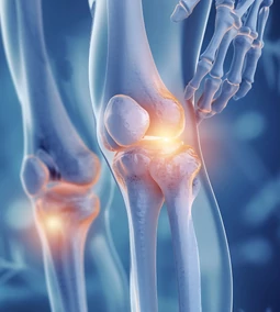 Mi történik az ízületeinkkel 40 fölött?